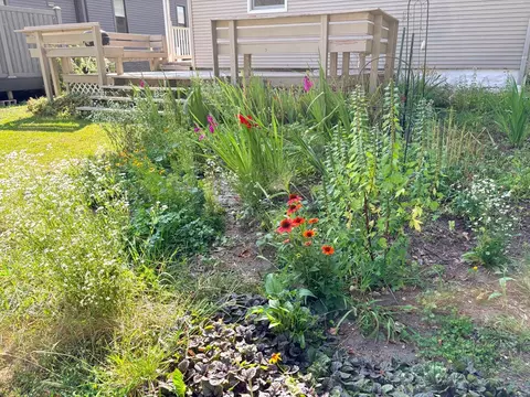 Exterior - 607 Pine, Manistee, MI 49660 photo 5 of 8