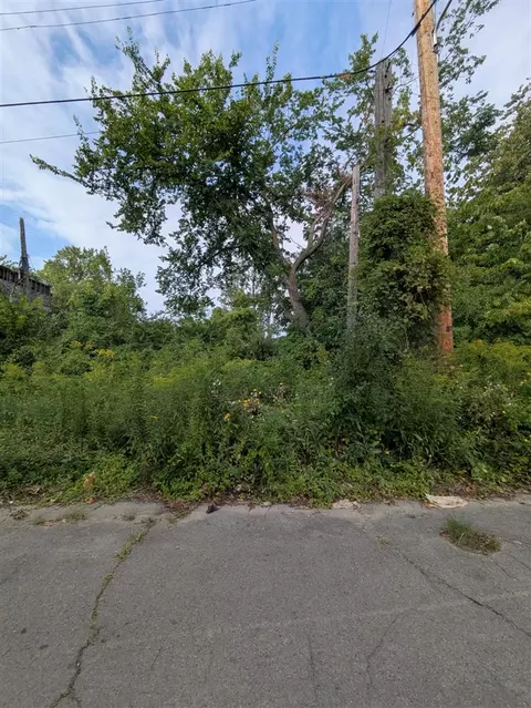5631 Mckinley, Detroit, MI 48208