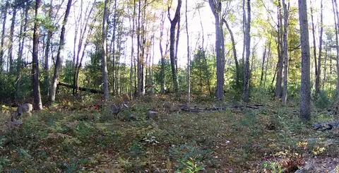 E 8th, White Cloud, MI 49349 photo 22