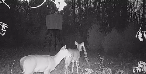 E 8th, White Cloud, MI 49349 photo 9