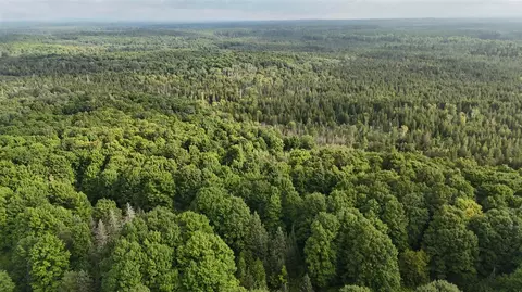 View/Area - Vl Perrin Brothers Trail, Update, MI 49841 photo 4 of 10