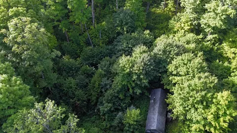 View/Area - Vl Perrin Brothers Trail, Update, MI 49841 photo 7 of 10