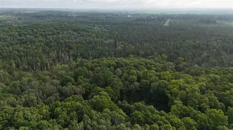 Other - Vl Perrin Brothers Trail, Update, MI 49841 photo 8 of 23