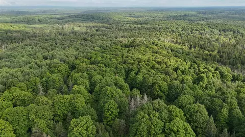 Other - Vl Perrin Brothers Trail, Update, MI 49841 photo 9 of 23