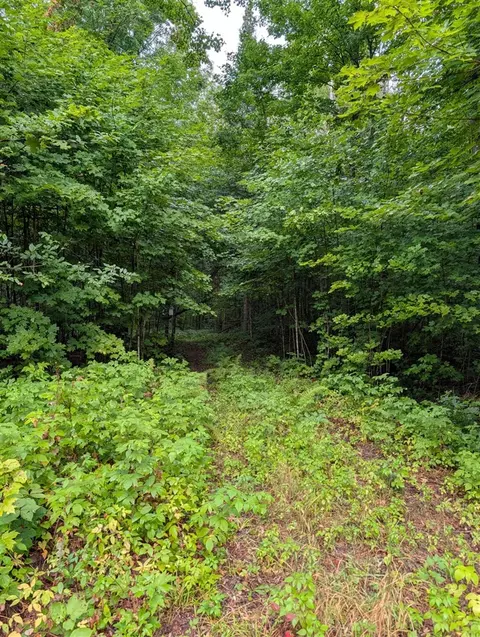 Other - Vl Perrin Brothers Trail, Update, MI 49841 photo 22 of 23