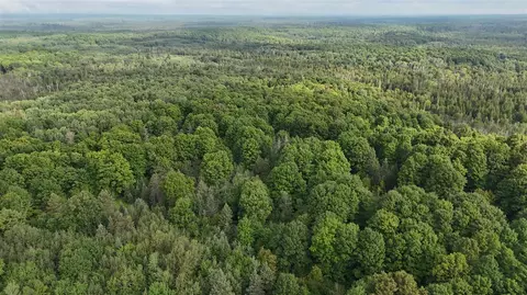 Other - Vl Perrin Brothers Trail, Update, MI 49841 photo 10 of 23