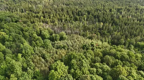 Other - Vl Perrin Brothers Trail, Update, MI 49841 photo 12 of 23