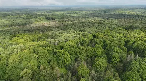 Other - Vl Perrin Brothers Trail, Update, MI 49841 photo 11 of 23