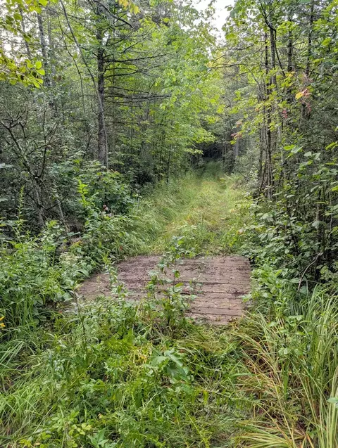 Other - Vl Perrin Brothers Trail, Update, MI 49841 photo 17 of 23