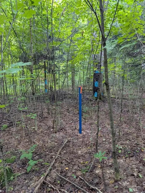 Other - Vl Perrin Brothers Trail, Update, MI 49841 photo 23 of 23