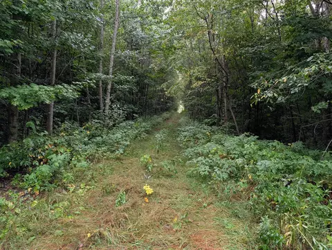 Other - Vl Perrin Brothers Trail, Update, MI 49841 photo 15 of 23