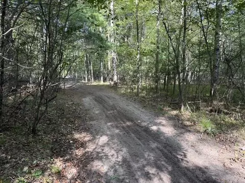 V/l Timber, Prescott, MI 48756
