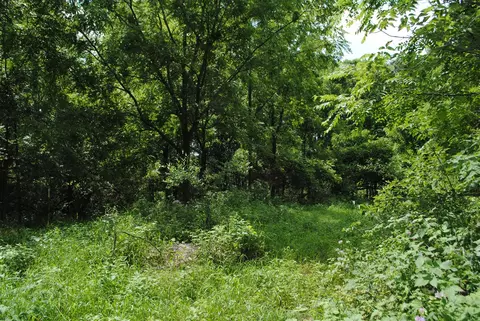 3199 Luna, Dexter, MI 48130 photo 13
