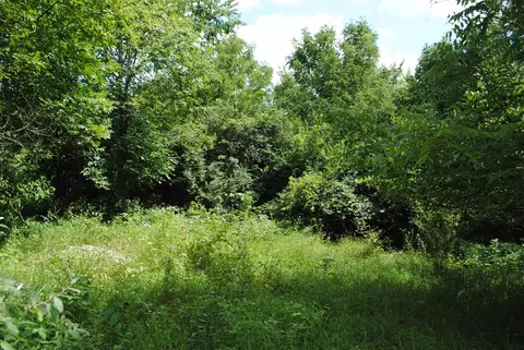 3199 Luna, Dexter, MI 48130 photo 14