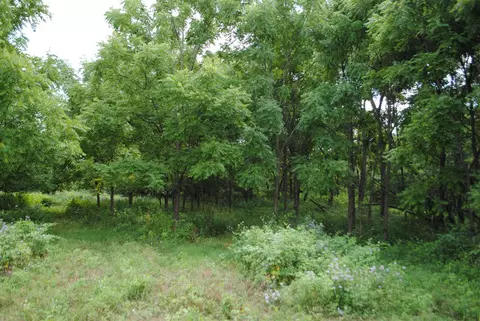 3199 Luna, Dexter, MI 48130 photo 8