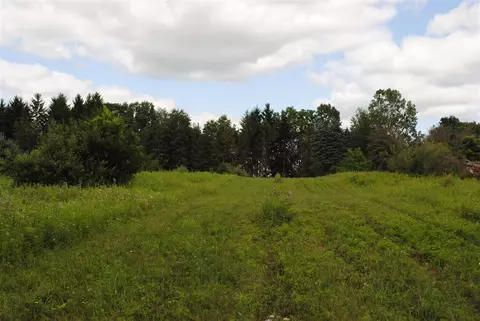 3199 Luna, Dexter, MI 48130 photo 17