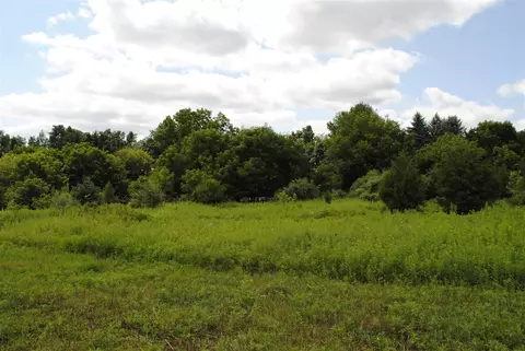 3199 Luna, Dexter, MI 48130 photo 3