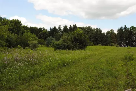 3199 Luna, Dexter, MI 48130 photo 16