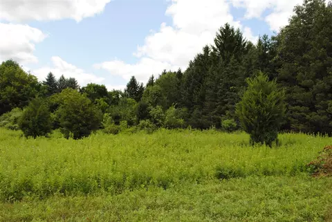 3199 Luna, Dexter, MI 48130 photo 5