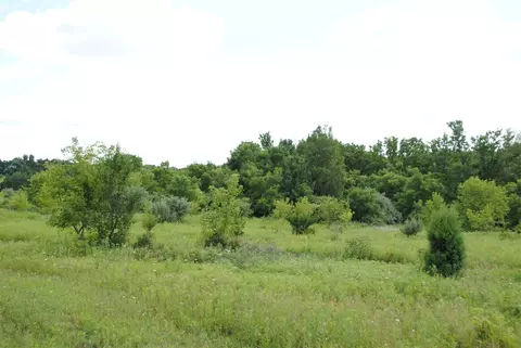3199 Luna, Dexter, MI 48130 photo 20
