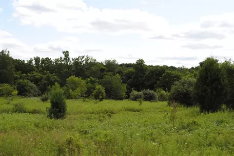 3199 Luna, Dexter, MI 48130 photo 18