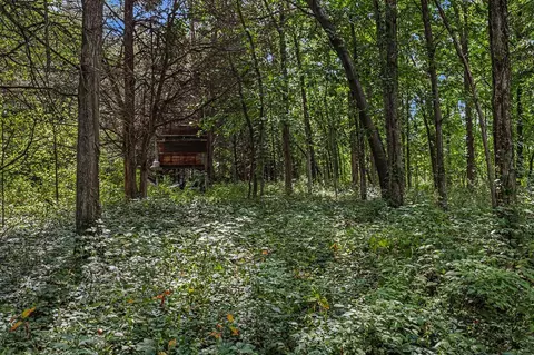 V/l E Riverside Dr, Lyons, MI 48851 photo 20