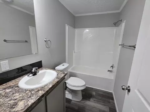 Bath - 685 S Bingham, White Cloud, MI 49349 photo 4 of 4