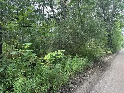 Beaver, Bitely, MI 49309 photo 12