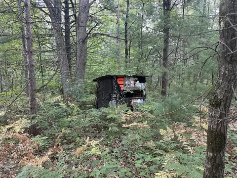 Beaver, Bitely, MI 49309 photo 7