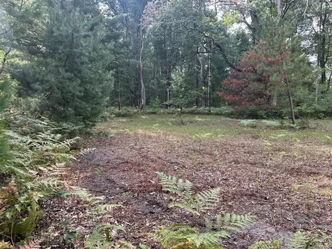 Beaver, Bitely, MI 49309 photo 3