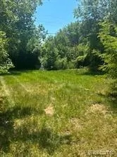 Other - 1201 Oleander, Mount Morris, MI 48458 photo 14 of 14