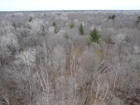 000 Bryce Rd, Update, MI 48049 photo 6