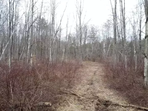 000 Bryce Rd, Update, MI 48049 photo 10