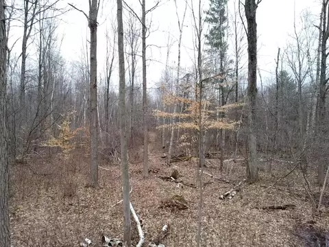 000 Bryce Rd, Update, MI 48049 photo 7