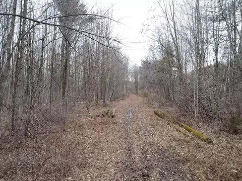 000 Bryce Rd, Update, MI 48049 photo 9