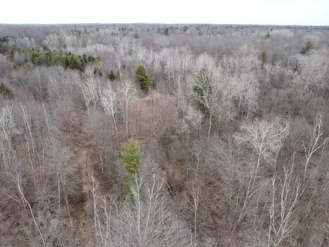000 Bryce Rd, Update, MI 48049 photo 14