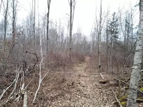 000 Bryce Rd, Update, MI 48049 photo 11
