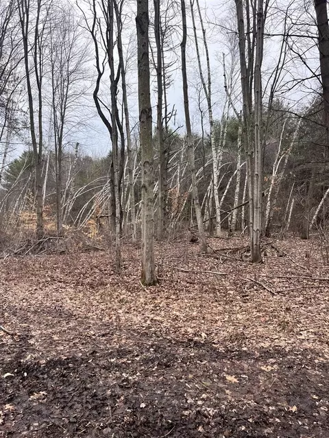 000 Bryce Rd, Update, MI 48049 photo 21
