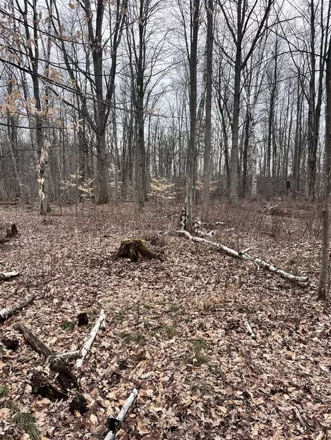 000 Bryce Rd, Update, MI 48049 photo 22