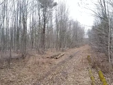 000 Bryce Rd, Update, MI 48049 photo 8