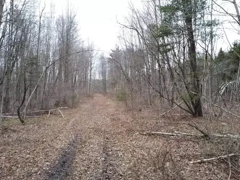 000 Bryce Rd, Update, MI 48049 photo 15
