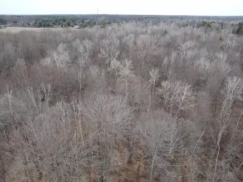 000 Bryce Rd, Update, MI 48049 photo 13