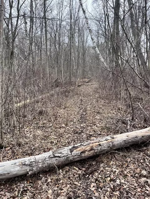 000 Bryce Rd, Update, MI 48049 photo 18