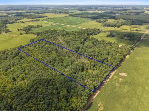 Crystal, Hubbardston, MI 48845 photo 6