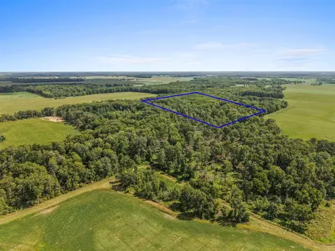 Crystal, Hubbardston, MI 48845 photo 8