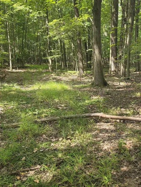 Crystal, Hubbardston, MI 48845 photo 16