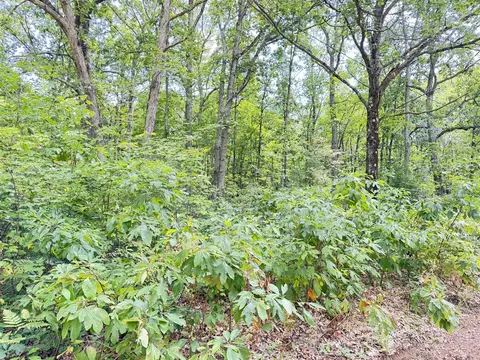 8 Th, Bitely, MI 49309 photo 3