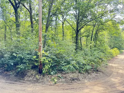 8 Th, Bitely, MI 49309 photo 2