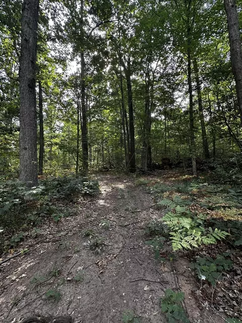 4971 W 11 12 Mile, Irons, MI 49644 photo 11