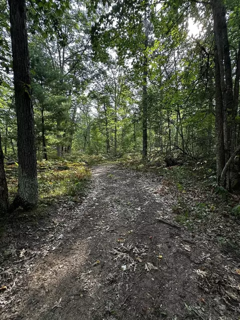 4971 W 11 12 Mile, Irons, MI 49644 photo 12